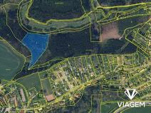 Prodej podílu lesa, Velké Petrovice, 4922 m2