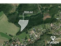 Prodej podílu lesa, Velké Petrovice, 4922 m2