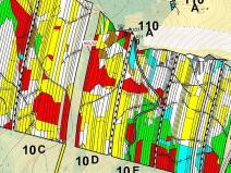 Dražba lesa, Nová Hradečná, 12014 m2