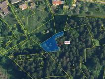 Dražba louky, Zlatá Olešnice, 438 m2