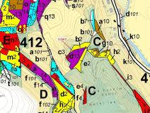 Dražba lesa, Letohrad, 3699 m2
