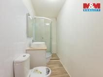 Prodej bytu 1+1, Praha - Břevnov, Bělohorská, 49 m2