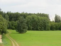 Dražba pole, Počátky, 11945 m2