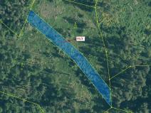 Dražba lesa, Pačejov, 1363 m2