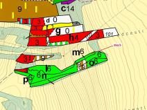 Dražba lesa, Újezd u Plánice, 613 m2