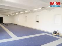 Pronájem garáže, Hořesedly, 230 m2