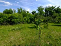 Prodej zahrady, Uherský Brod, 2032 m2