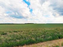 Prodej pole, Kouty, 29924 m2