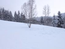 Prodej pozemku, Dlouhý Most, 8531 m2