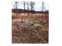 Prodej lesa, Přeckov, 87000 m2