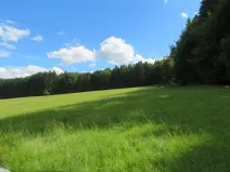 Dražba louky, Pec, 4175 m2