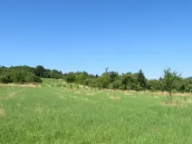 Dražba pozemku, Nové Strašecí, 5768 m2