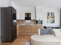 Prodej bytu 2+kk, Praha - Žižkov, Olgy Havlové, 47 m2