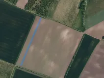 Prodej pole, Hustopeče, 4219 m2