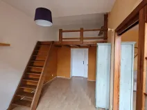 Pronájem bytu 2+1, České Budějovice, Puklicova, 53 m2