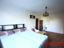 Pronájem bytu 1+1, Plzeň, Ledecká, 39 m2