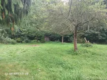 Prodej lesa, Chlístovice, 1161 m2