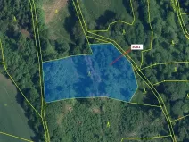 Dražba lesa, Benešov u Semil, 6213 m2