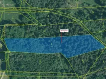 Dražba lesa, Stehlovice, 11078 m2