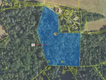 Dražba lesa, Sýkořice, 8962 m2