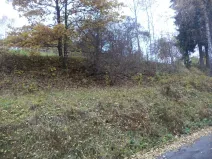 Prodej pozemku, Zlatá Olešnice, 792 m2