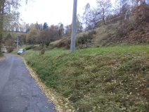 Prodej pozemku, Zlatá Olešnice, 792 m2