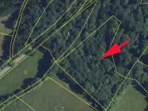 Prodej lesa, Cotkytle, 7064 m2