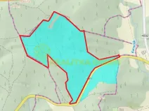Prodej lesa, Zlín, 152613 m2
