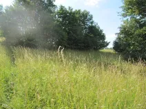 Prodej pole, Březůvky, 9747 m2
