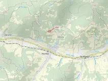 Dražba lesa, Hovězí, 1252 m2