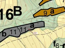 Dražba lesa, Hovězí, 1252 m2