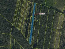 Dražba lesa, Vracov, 1174 m2