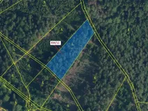 Dražba lesa, Jílové u Držkova, 3439 m2