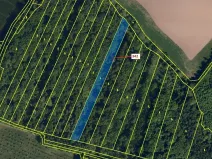 Dražba lesa, Hradčany-Kobeřice, 5428 m2