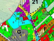 Dražba lesa, Jílovice, 5755 m2