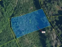 Dražba lesa, Benešov u Semil, 2540 m2