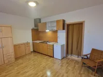 Prodej bytu 1+kk, Štěnovice, Čižická, 27 m2