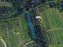 Dražba lesa, Spešov, 1009 m2