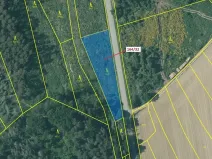 Dražba lesa, Budíškovice, 1817 m2