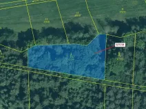 Dražba lesa, Stehlovice, 2071 m2