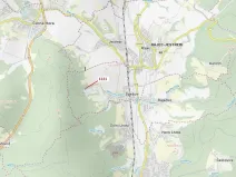 Dražba lesa, Spešov, 1590 m2