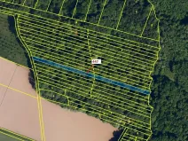 Dražba lesa, Hradčany-Kobeřice, 1989 m2