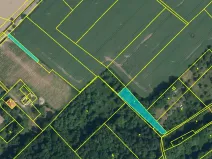 Prodej louky, Svijany, 1799 m2