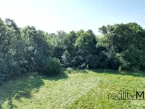 Prodej louky, Křižany, 2663 m2