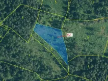 Dražba lesa, Pačejov, 3251 m2