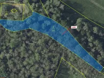 Dražba lesa, Stebno, 2275 m2