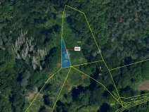 Dražba lesa, Dešov, 111 m2