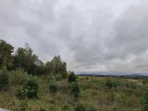 Prodej komerčního pozemku, Chodov, Nejdecká, 3546 m2