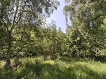 Prodej pozemku, Pomezí nad Ohří, 39941 m2