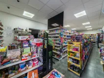 Prodej rodinného domu, Čelákovice, Jiráskova, 530 m2